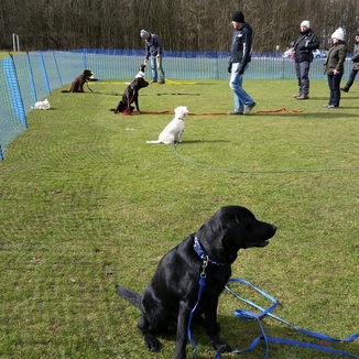 A Next Steps class in progress