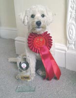 Wysiwyg, looking beautiful with her third place rosette and trophy, from the BAA Grand Prix finals 2013